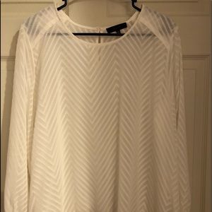 Eclair Petite Sheer Blouse